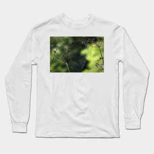 Spider's web with texture Long Sleeve T-Shirt